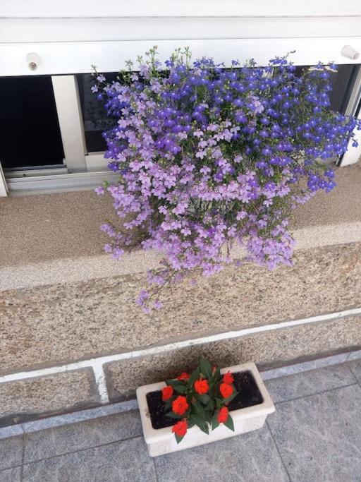 Apartamento En San Vicente De O Grove Εξωτερικό φωτογραφία